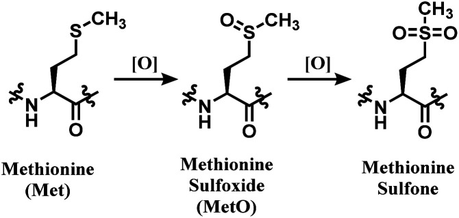 Scheme 51