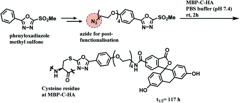 Scheme 20