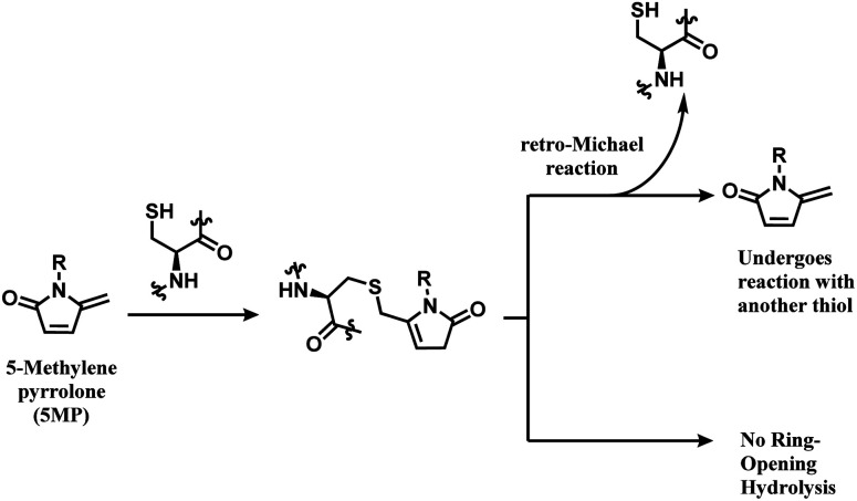 Scheme 17