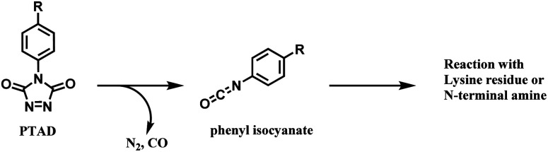 Scheme 44