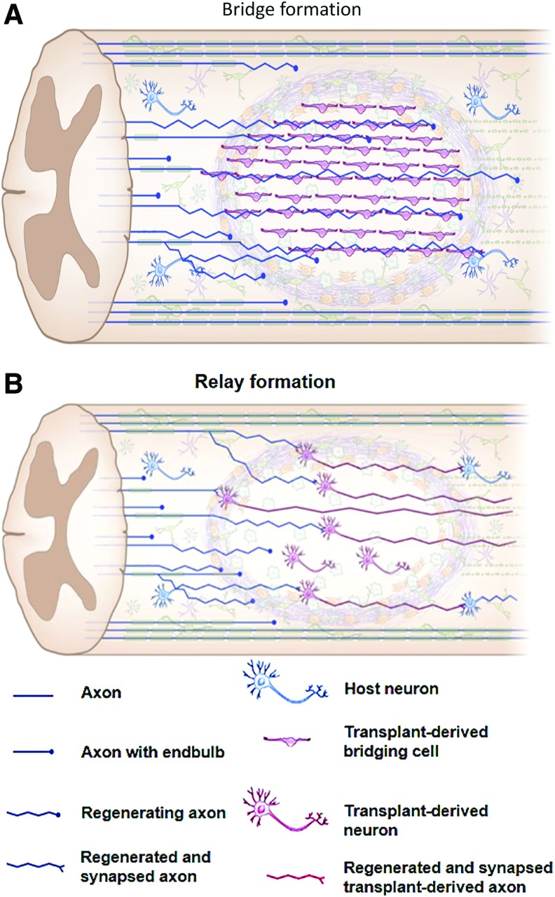 FIG. 6.