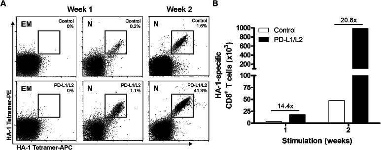 Fig. 2