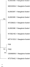 Fig. 3
