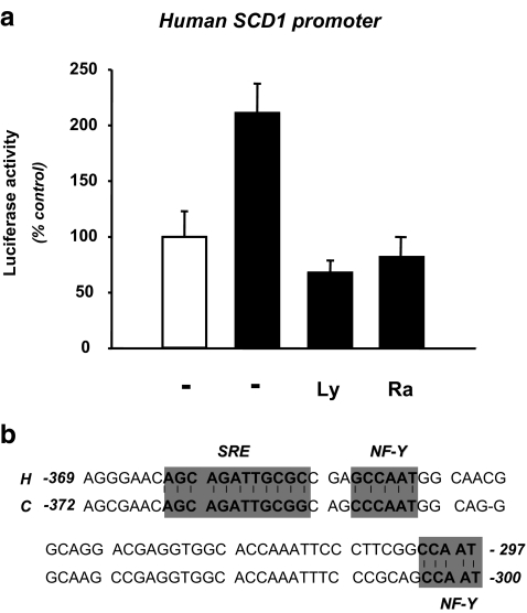 Fig. 7