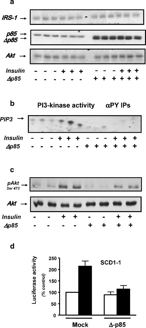 Fig. 6