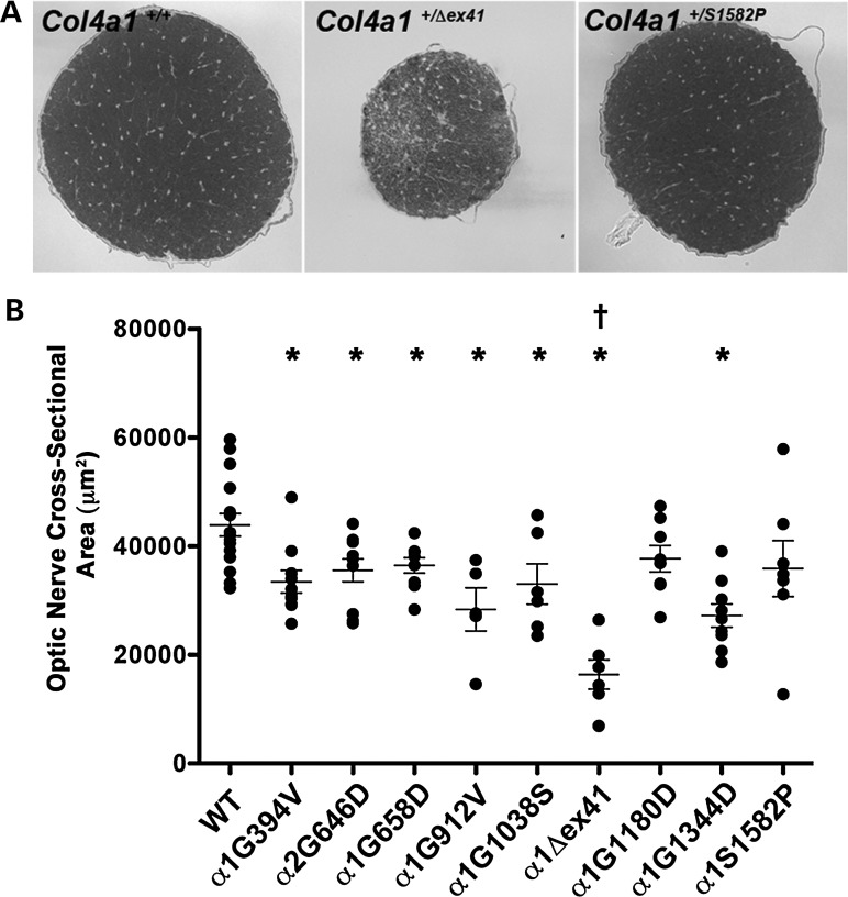 Figure 2.