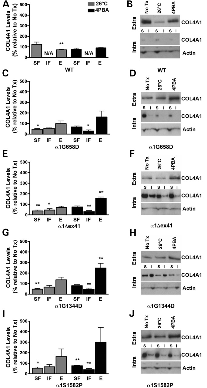 Figure 6.