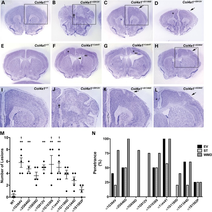 Figure 3.