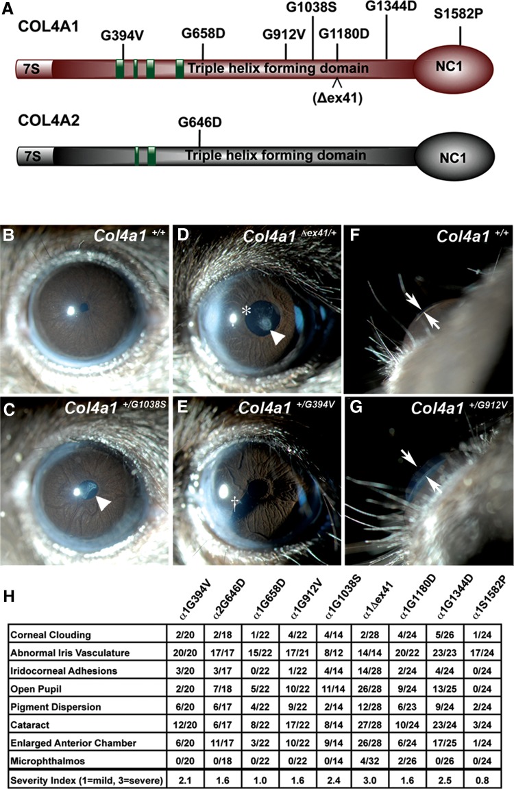 Figure 1.