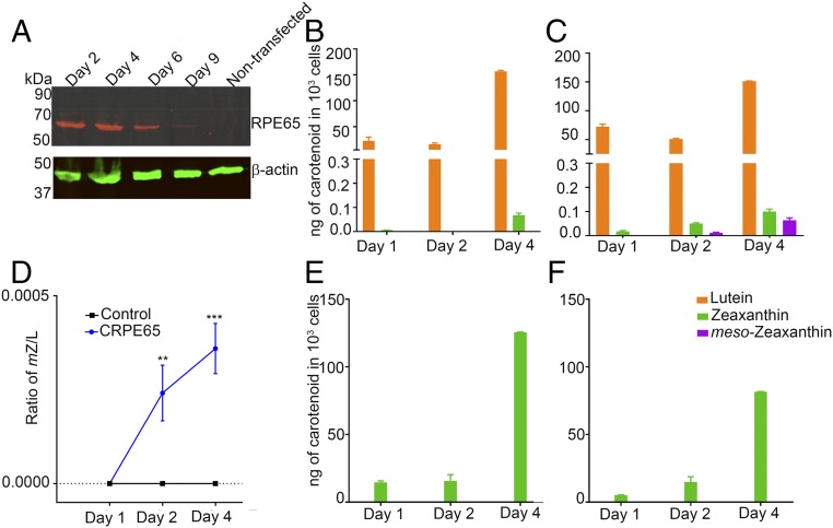 Fig. 3.