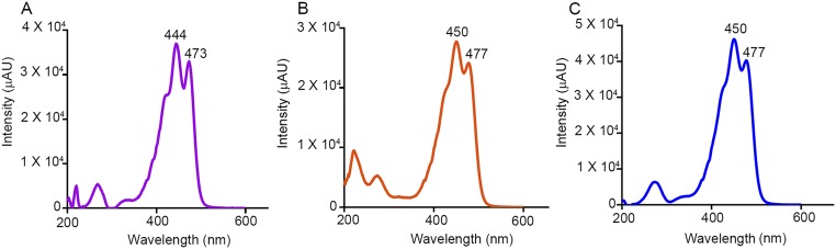 Fig. S2.