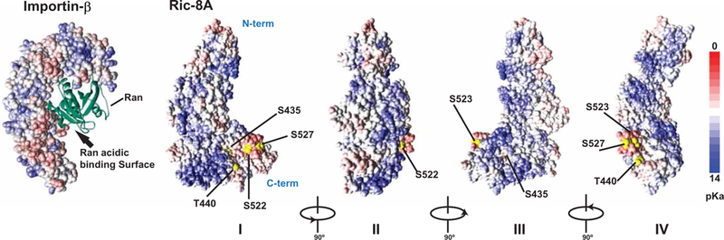 Fig. 8.