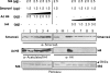 FIGURE 9.