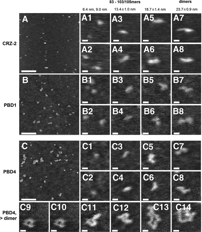 FIGURE 6.