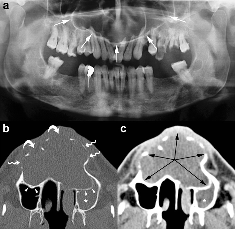 Fig. 5