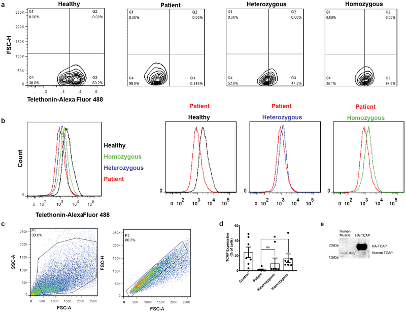 Extended Data Figure 4 |