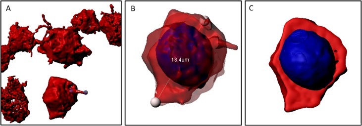 Fig 5