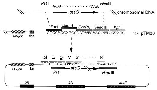 FIG. 1