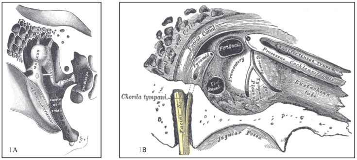 FIGURE 1