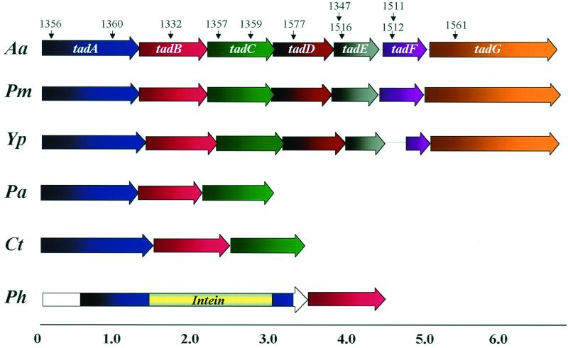 FIG. 4