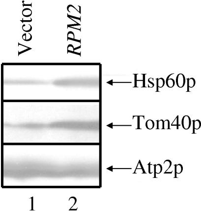 FIG. 10.