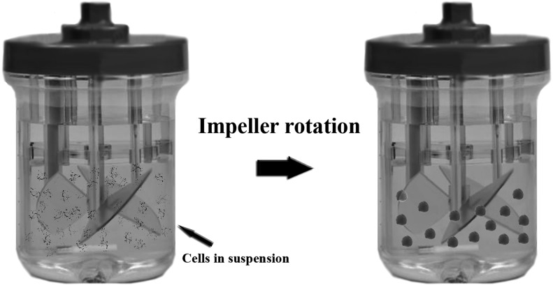 FIG. 7.