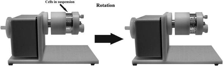 FIG. 8.