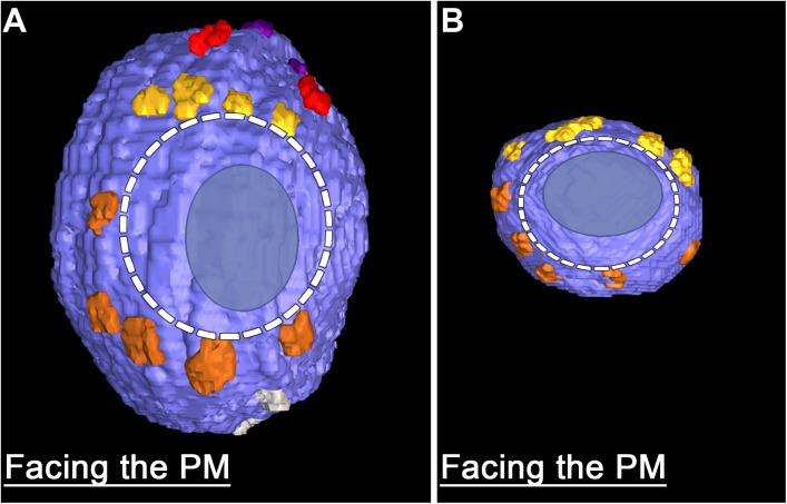 FIGURE 4