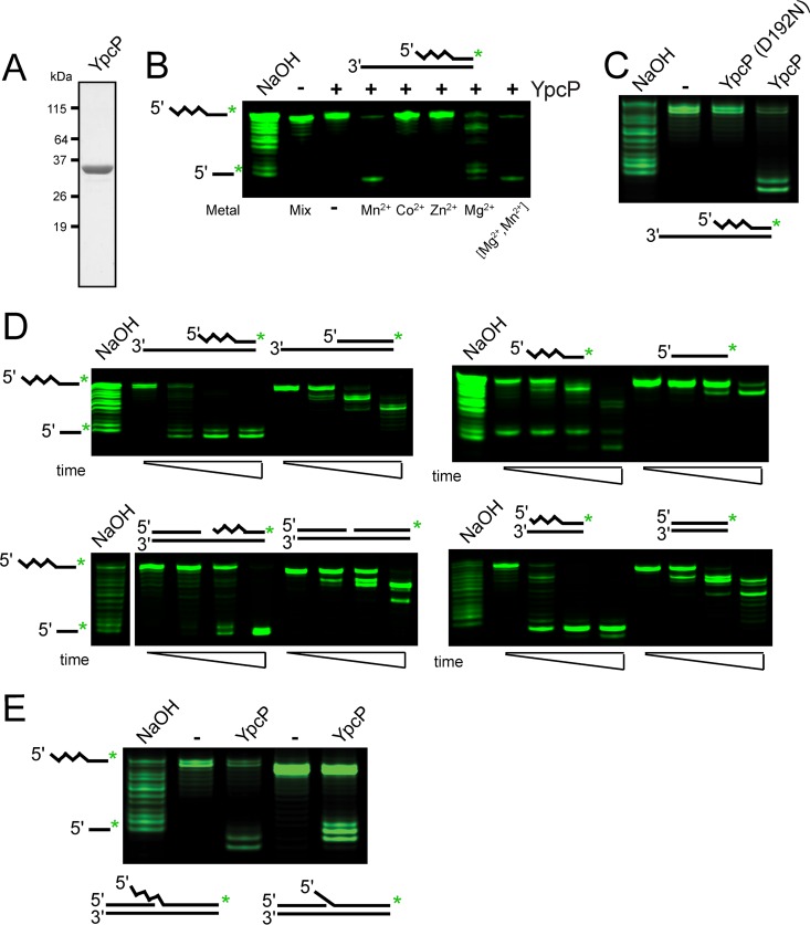 FIG 3