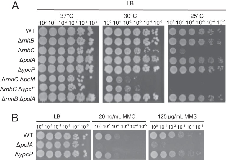 FIG 4