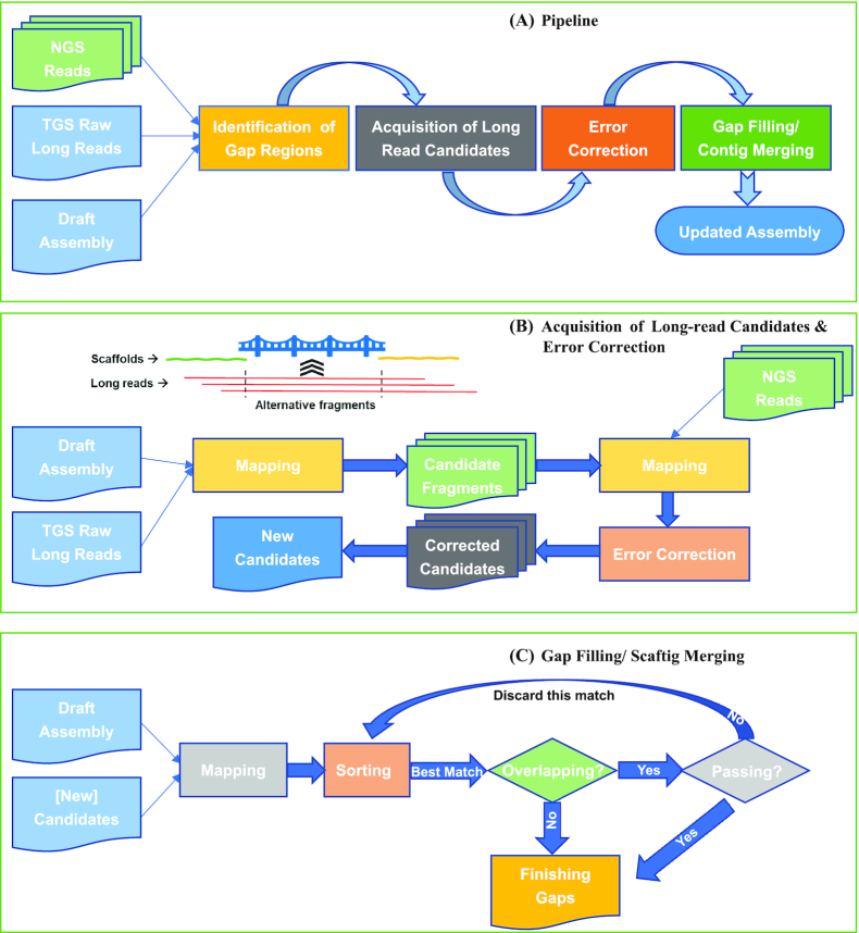 Figure 1: