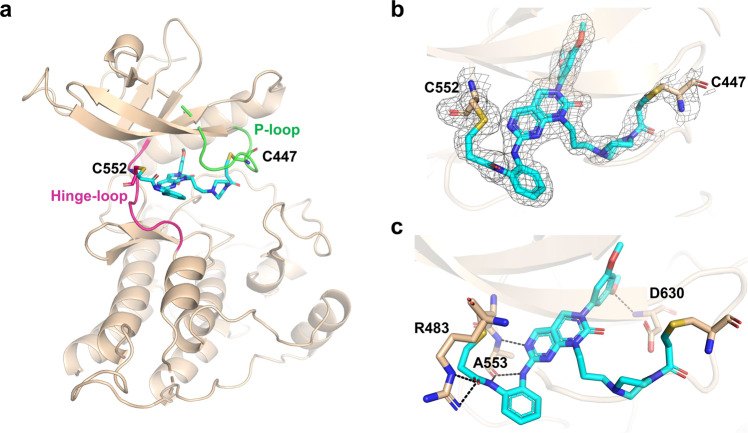Fig. 4
