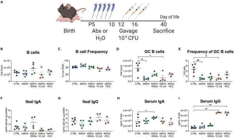 Figure 6