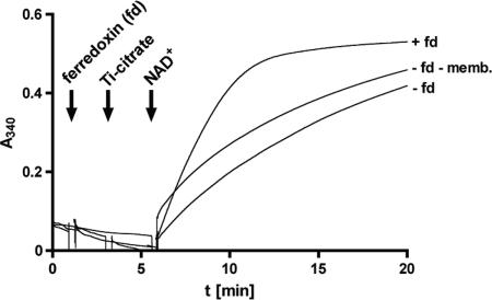 FIG. 7.