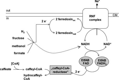 FIG. 9.