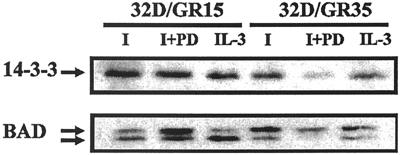 FIG. 10