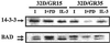 FIG. 10