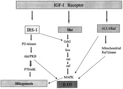 FIG. 11