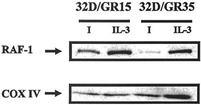 FIG. 8