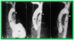 Figure 39