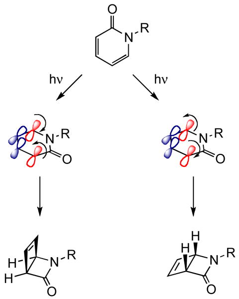 Scheme 2