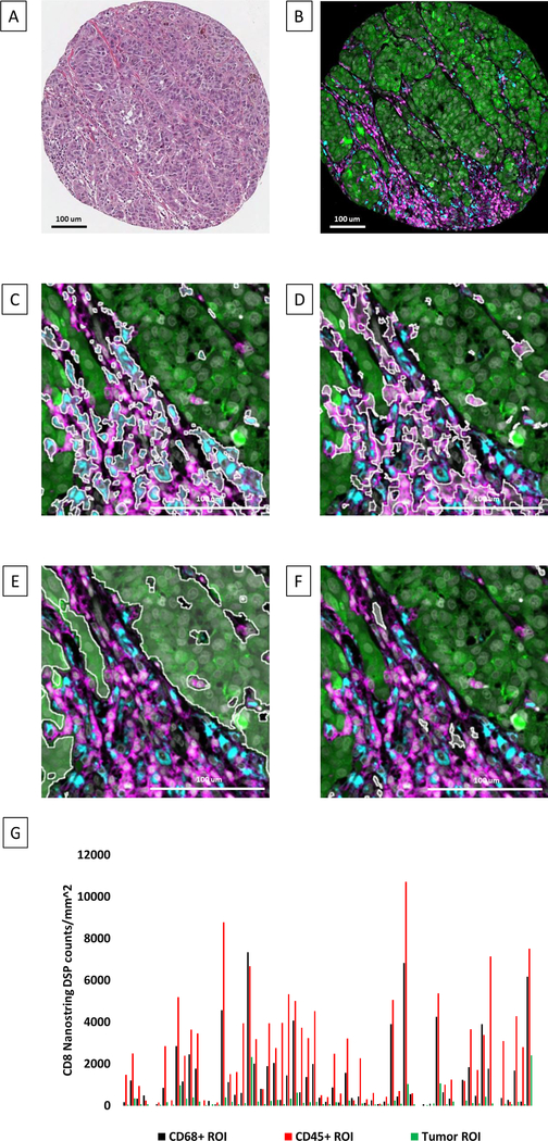 Figure 3: