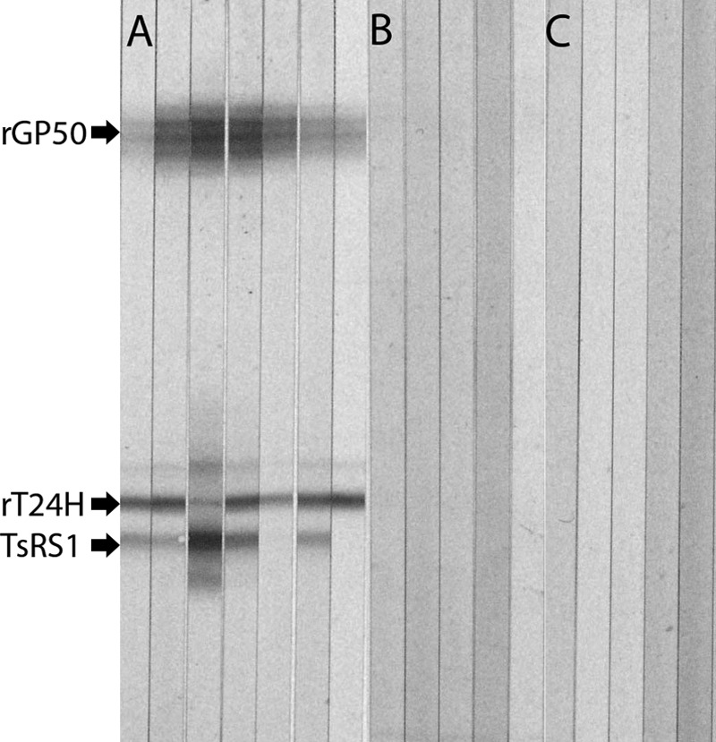 FIG 1