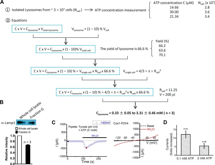 FIGURE 4.