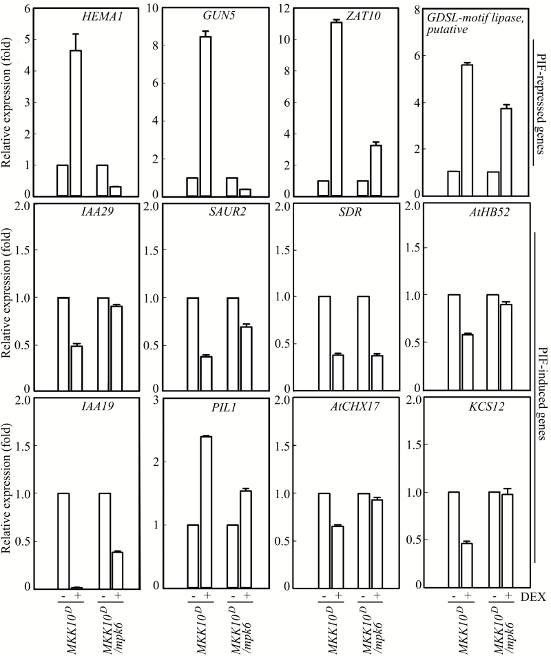 Fig. 10.