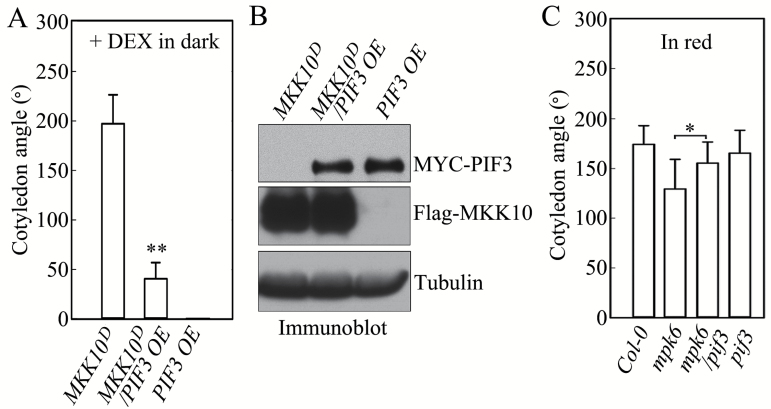 Fig. 8.