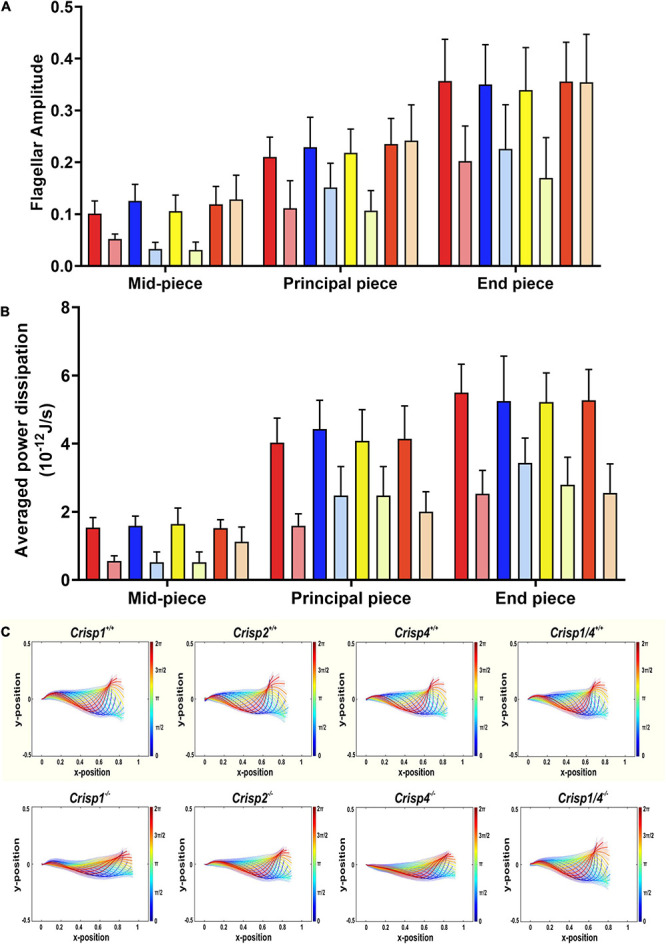 FIGURE 4