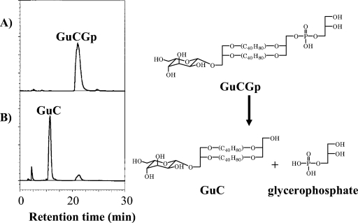 FIG. 6.