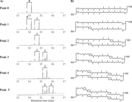 FIG. 3.