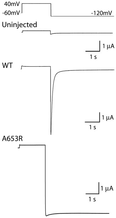 Fig. 8